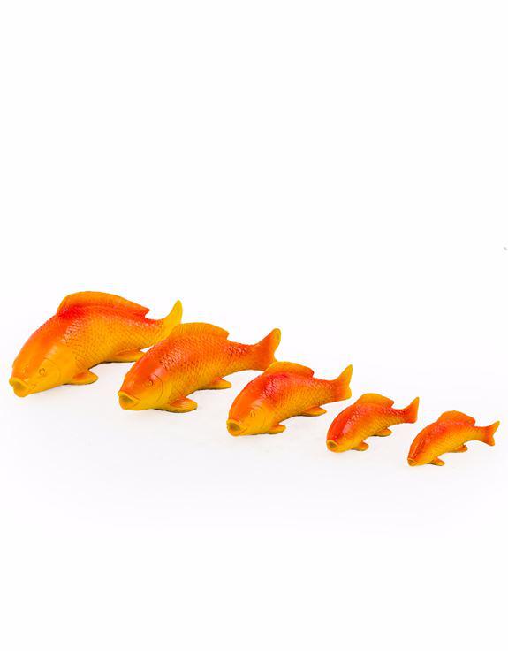 Set of 5 Swimming Fish Wall Figures