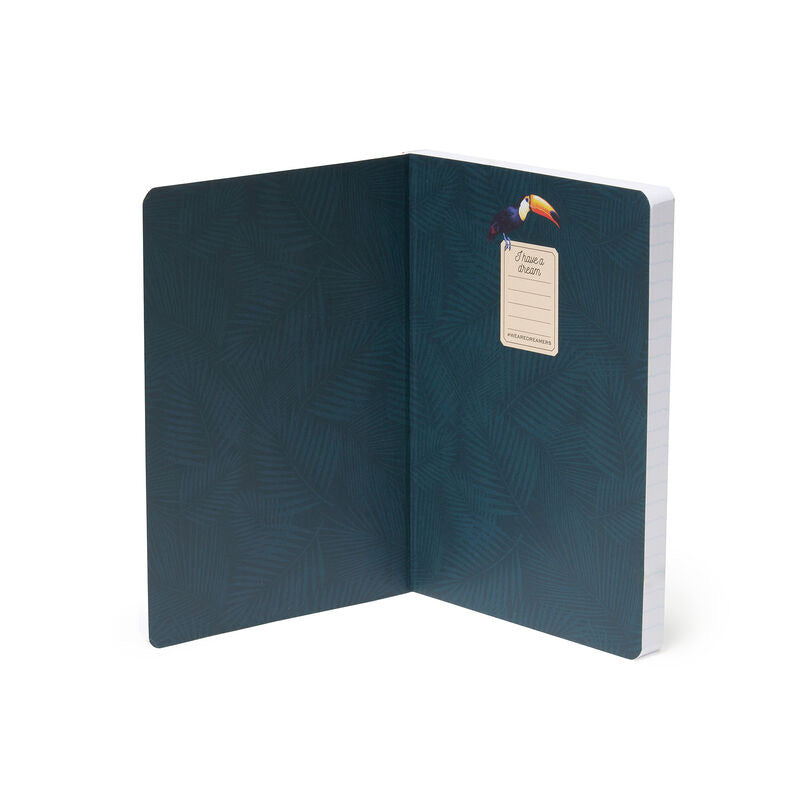 Medium notebook- Toucans