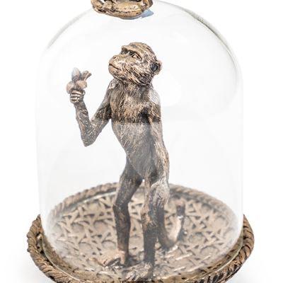 Golden Monkey in Glass Dome
