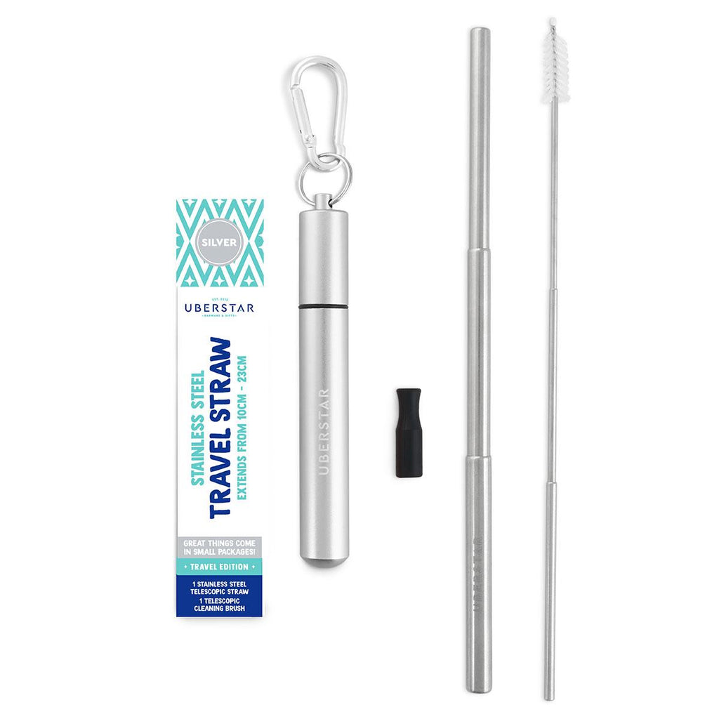 Silver Stainless steel travel straw